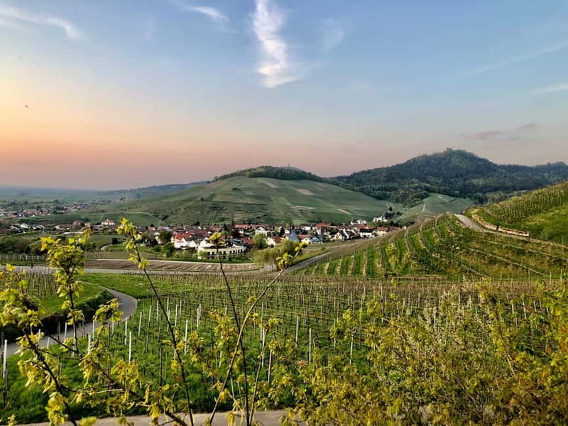 Baden-Baden: Private e-Mountainbike Tour with local Guide - Final Thoughts: Who Should Book?