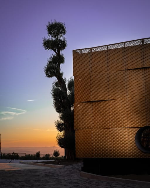 Baeza: Olive Oil Mill & Tasting at AOVEland - Practical Tips for Your Visit