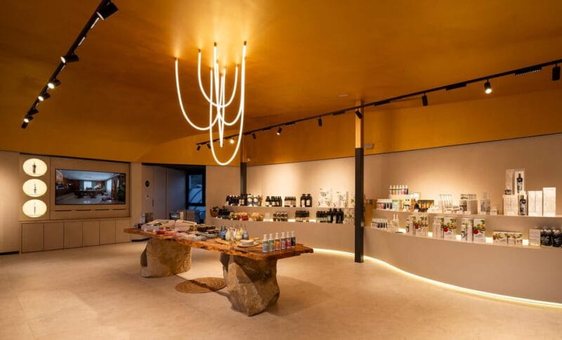 Baeza: Olive Oil Mill & Tasting at AOVEland - The Cost and Value of the Experience