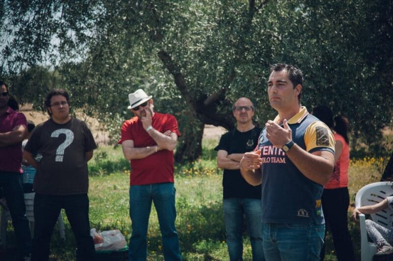 Baeza: Visit to an Ecological Olive Grove + Olive Oil Tasting - Key points / Takeaways