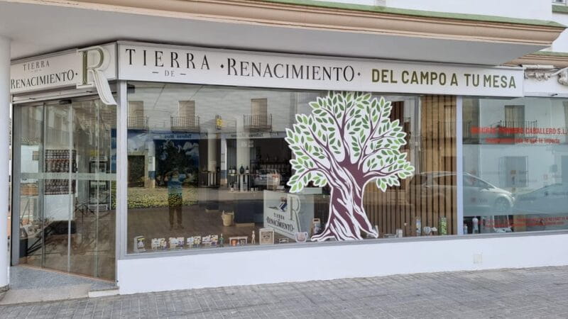 Baeza: Visit to an Ecological Olive Grove + Olive Oil Tasting - Practical Details and Logistics