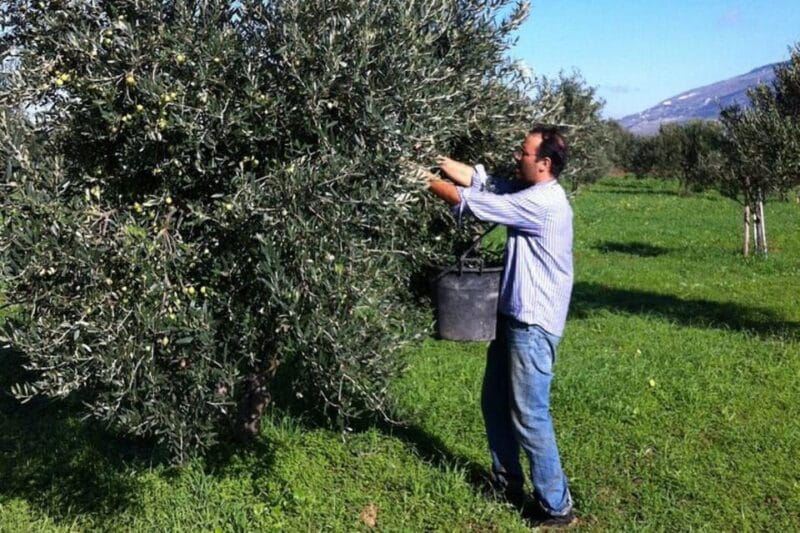Baglio Florio Adamo: Oil Tasting - Olive Oil Tasting: Savoring Sicily’s Liquid Gold
