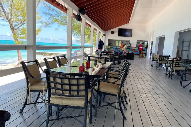 Bahamas Adventure: Pigs, Reef, Turtles, and Beach With Lunch - Observing the Turtles