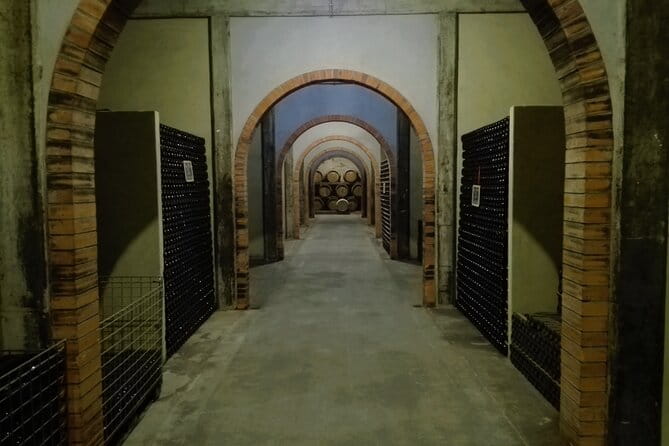 Bairrada Winery Route, half day from Coimbra - An In-Depth Look at the Bairrada Winery Route Experience