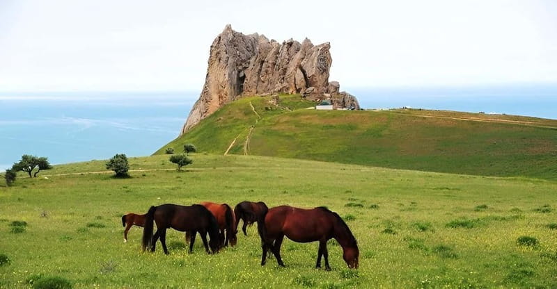 Baku:Guba,Shahdag and Candy Cane Mountain Lunch included - Price and Logistics