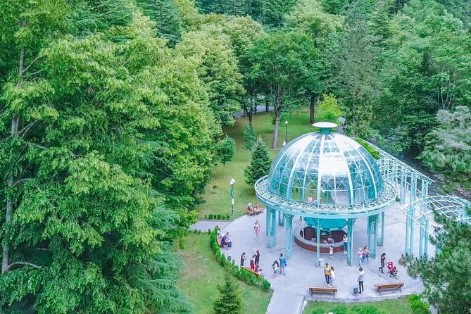 Bakuriani-Borjomi full day trip - The Experience: What You’ll Really Get