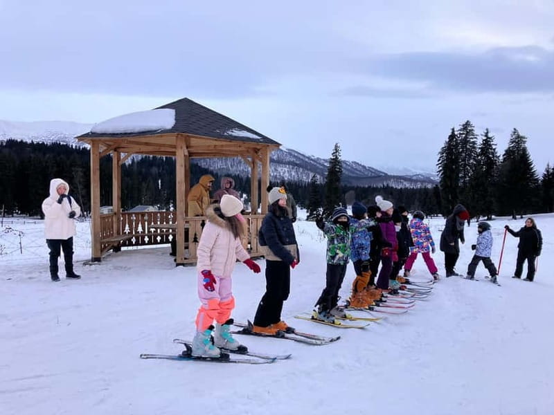 Bakuriani: Private or group Ski Lesson - Key Points / Takeaways