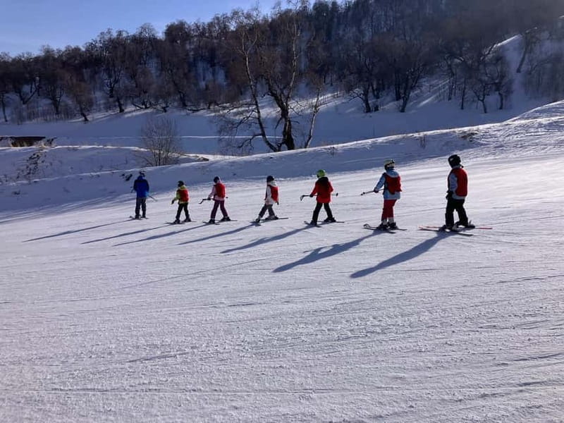 Bakuriani: Private or group Ski Lesson - Discovering Bakuriani: A Snowy Gem in Georgia