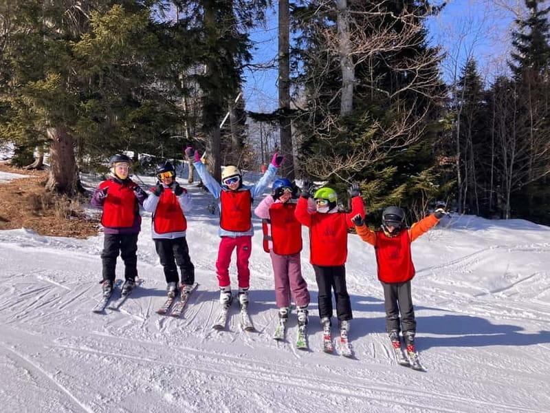 Bakuriani: Private or group Ski Lesson - Who Would Benefit From This Experience?