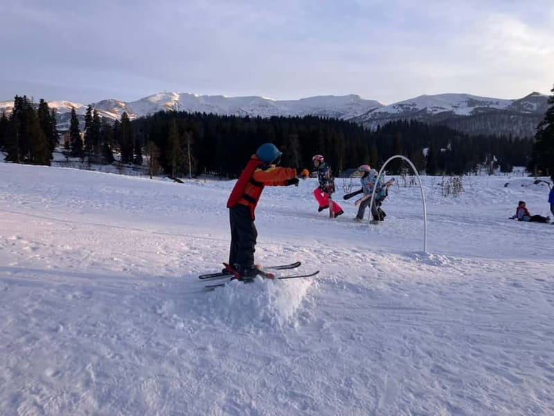 Bakuriani: Private or group Ski Lesson - Price and Value Analysis