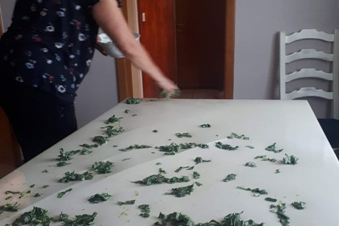 Balkan pita making culinary experience - The Sum Up: A Genuine Taste of Montenegro