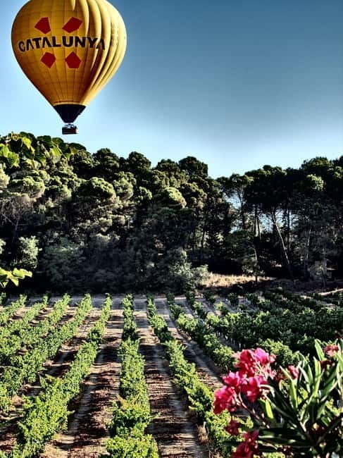 Balloon flight: panoramic view of Montserrat and Transport from Barcelona - Key points / Takeaways