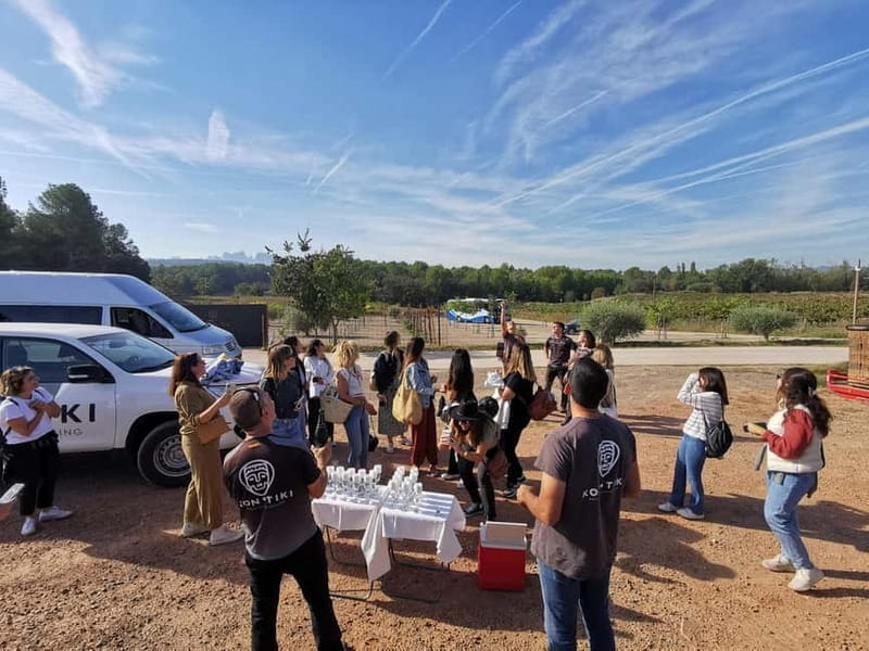 Balloon flight: panoramic view of Montserrat and Transport from Barcelona - The Itinerary in Detail: From Barcelona to the Skies and Back