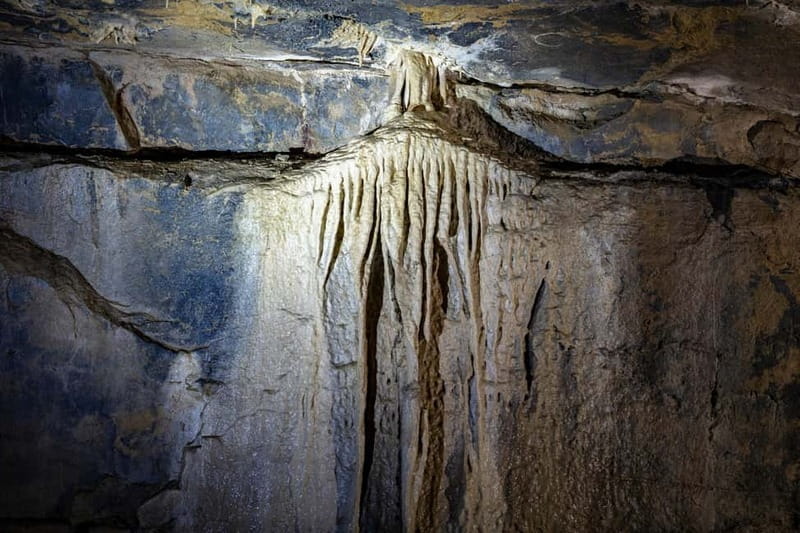 Ballyvaughan: Aillwee Burren Experience Entry Ticket - Discovering the Aillwee Burren Experience