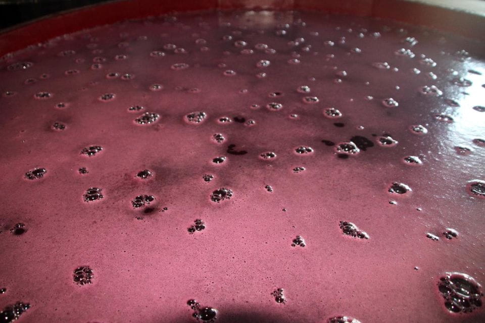 Balones: Guided Tour & Food Pairing With Local Oils & Wines - Olive Oil Processing