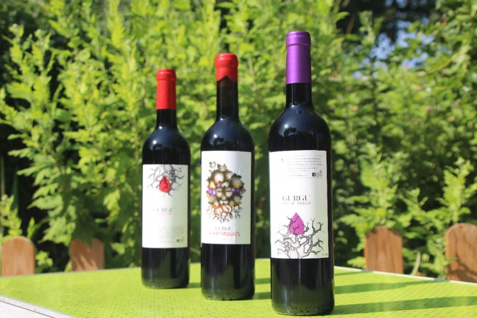 Balones: Guided Tour & Food Pairing With Local Oils & Wines - Award-winning Wine Tasting