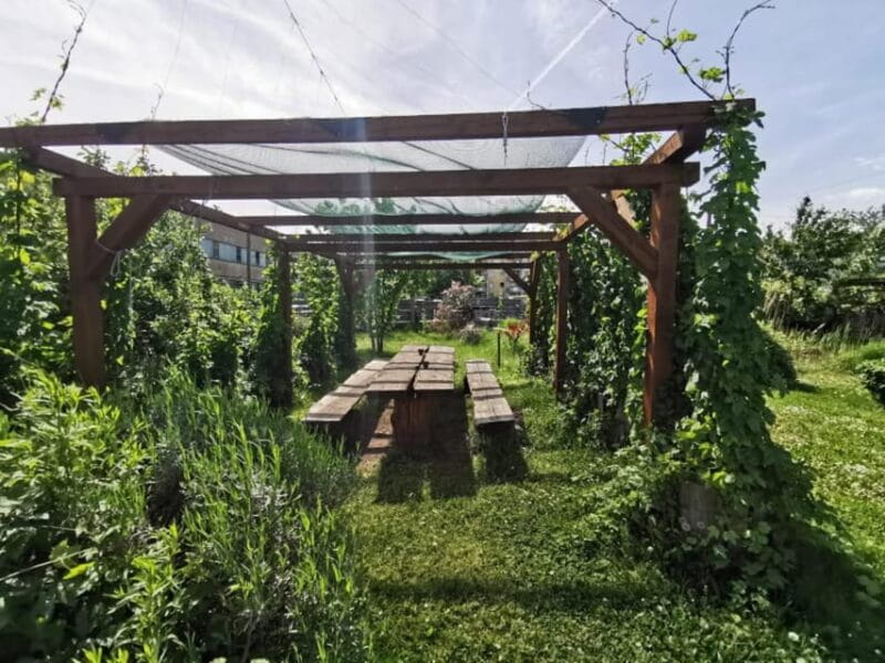 Bamberg: Beer & Brewery Tour - 2 Hour - English & German - Exploring Bamberg’s Beer Scene: A Personal Perspective