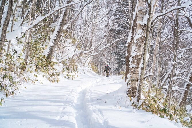 Bamboo Ice Cave Snowshoeing Tour in Noboribetsu - Booking Information and Policies