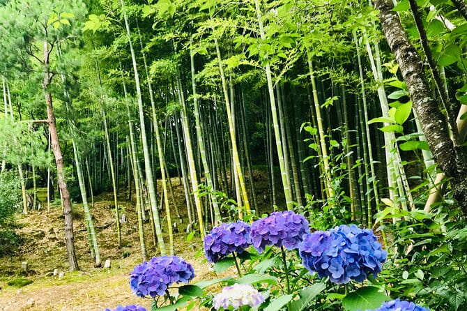 Bamboo LED Lantern Making Experience in Kyoto Arashiyama - Addressing Visitor Concerns
