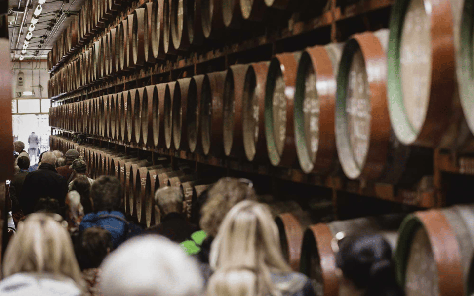 Banana, Wines & Rum Taste - Premium Tour in Gran Canaria - Rum Distillery Experience