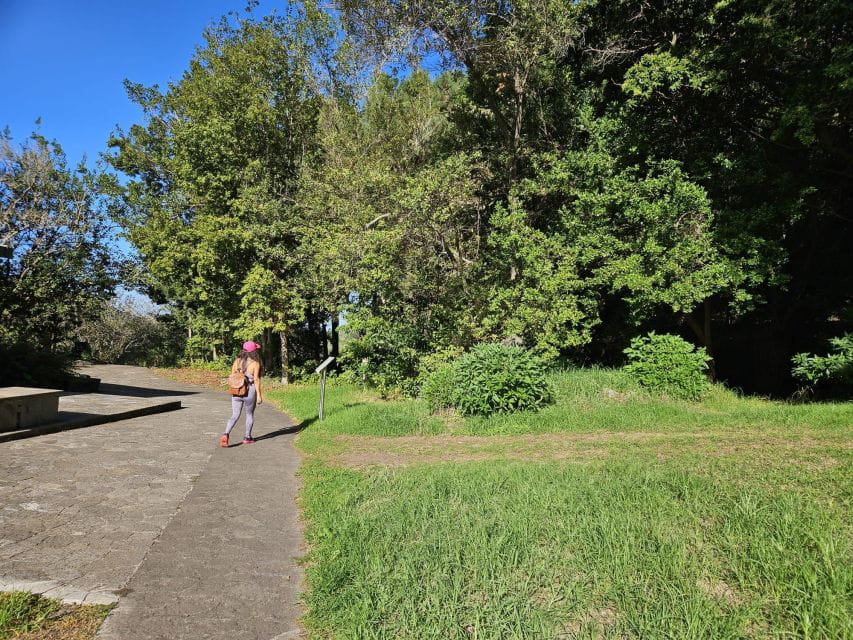 Bandama Caldera, Botanic Garden/Wine,Old Town From Las Palma - Itinerary Highlights