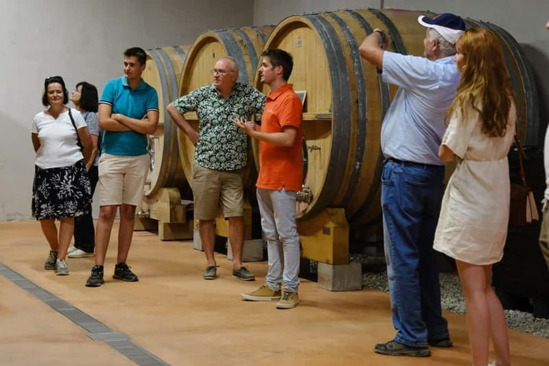 Bandol: family vineyard tour and tasting - A Personal Look at Château Canadel’s Vineyard Tour and Tasting