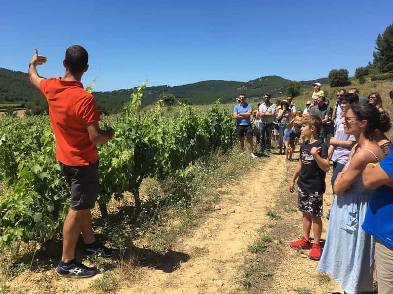 Bandol: family vineyard tour and tasting - FAQ about Château Canadel’s Vineyard Tour and Tasting