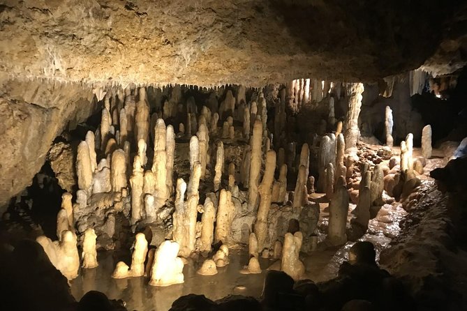 Barbados Full-day Private Tour - Tour Overview