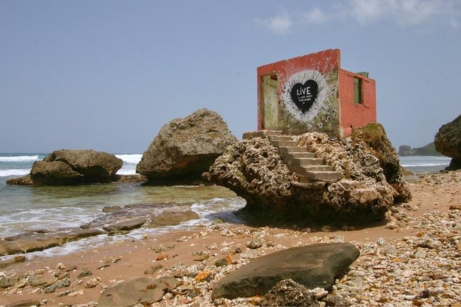 Barbados Island Tour With Lunch and Wildlife Sanctuary - Tour Overview