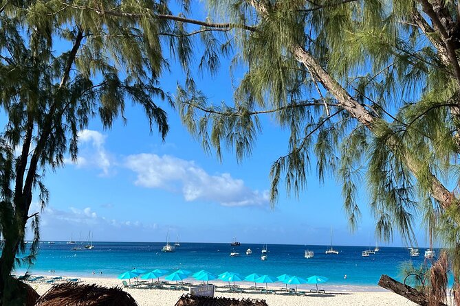 Barbados Shore Excursion Snorkel Cruise and Beach Day - Transportation and Transfers