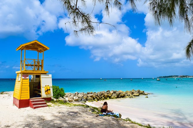 Barbados Small-Group or Private Coastal Sightseeing Tour - Food and Beverages