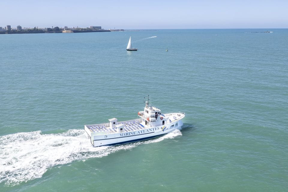 Barbate: Sunset Cruise With Glass of Cava - What to Bring