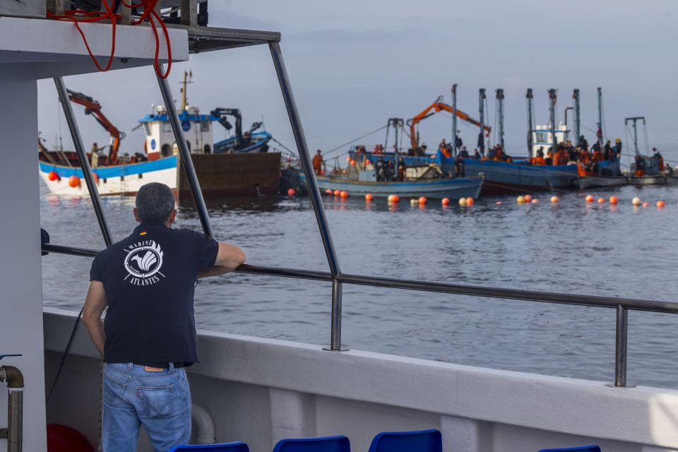 Barbate: Sunset Cruise With Glass of Cava - Things To Know