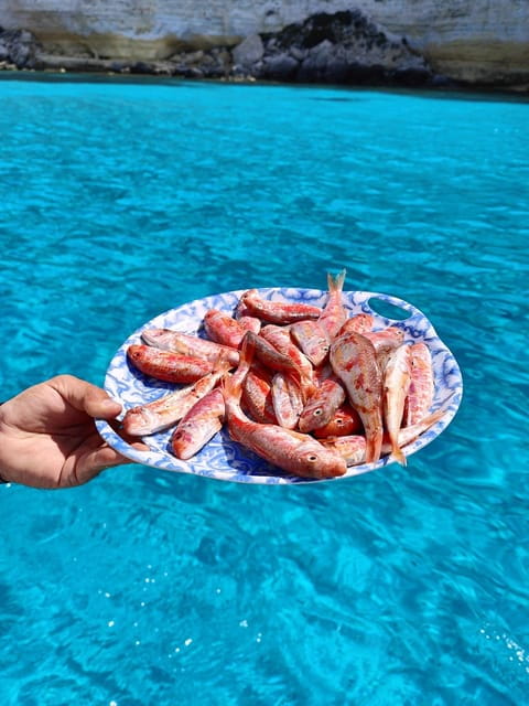 barca liliana ( caligola1) - The Price: Is It Worth It?