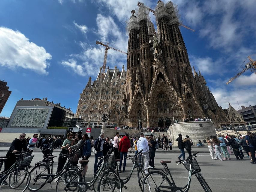 Barcelona: 1-Day Bike Rental - Customer Reviews and Feedback