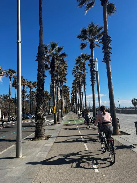 Barcelona: 1-Day Bike Rental - How to Reserve Your Bike