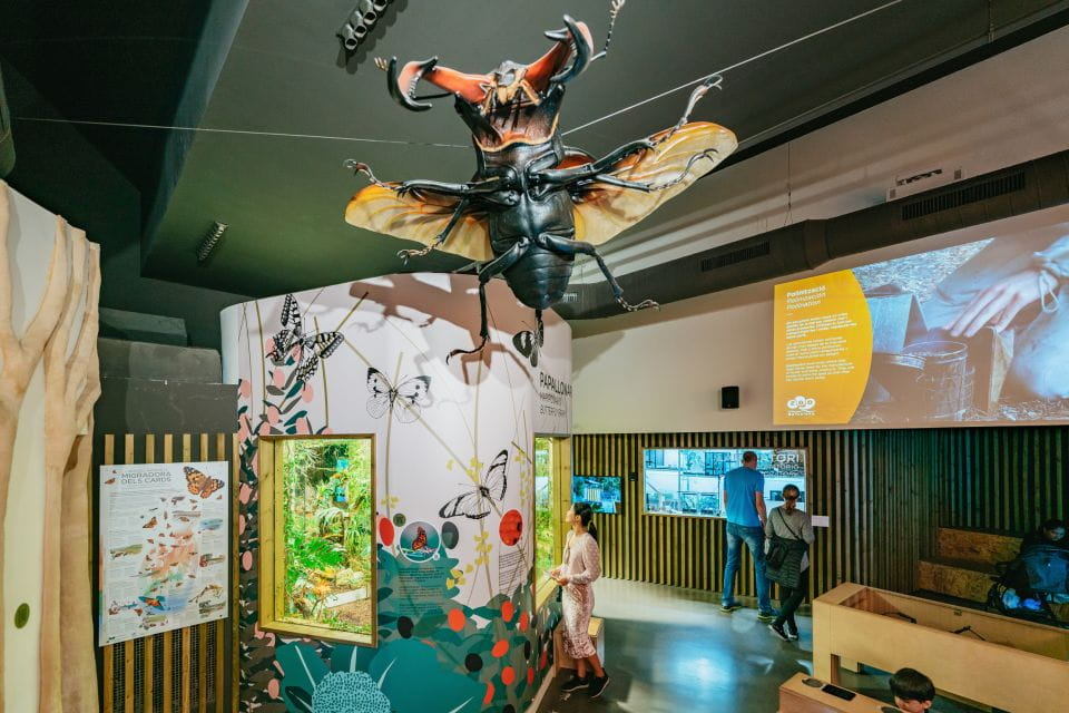 Barcelona: 1-Day Ticket to Barcelona Zoo - Key Points