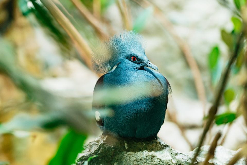 Barcelona: 1-Day Ticket to Barcelona Zoo - Zoo Location and Overview