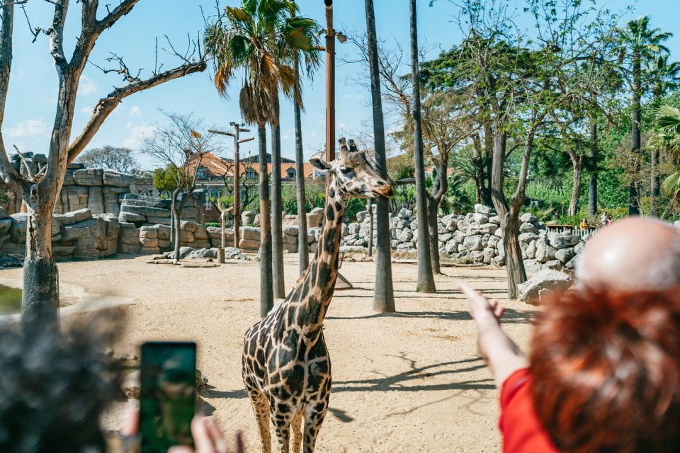Barcelona: 1-Day Ticket to Barcelona Zoo - Customer Ratings and Feedback
