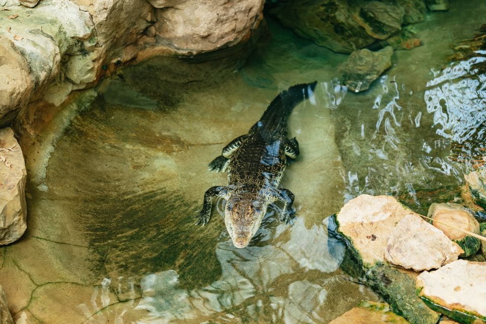 Barcelona: 1-Day Ticket to Barcelona Zoo - Tips for a Great Visit