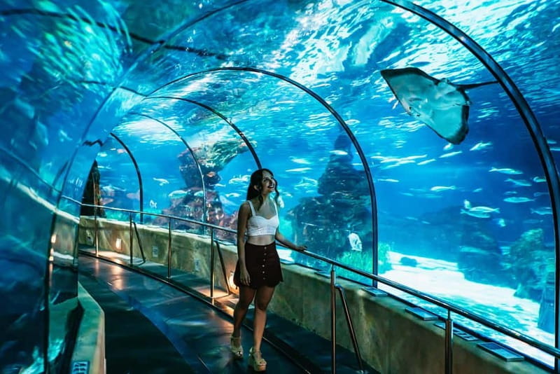 Barcelona Aquarium: Entry Ticket - Practical Tips for Visiting