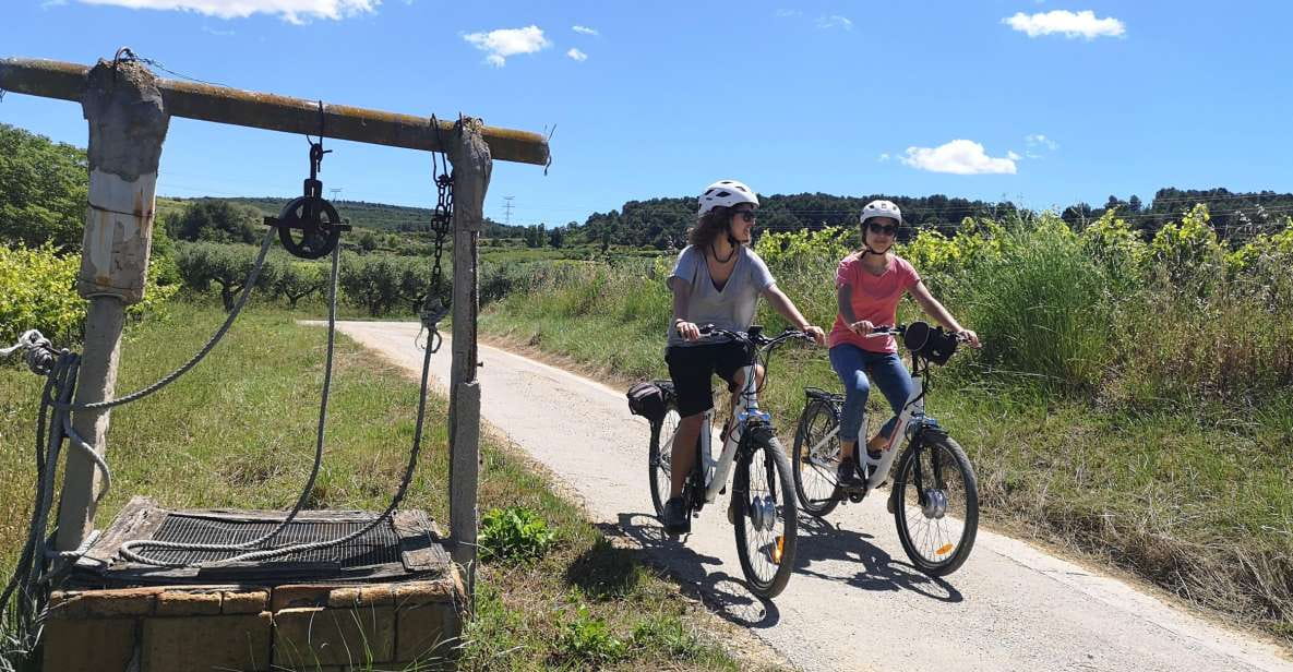 Barcelona: Bike & Wine Guided Tour - Penedès Vineyards - Highlights of the Experience