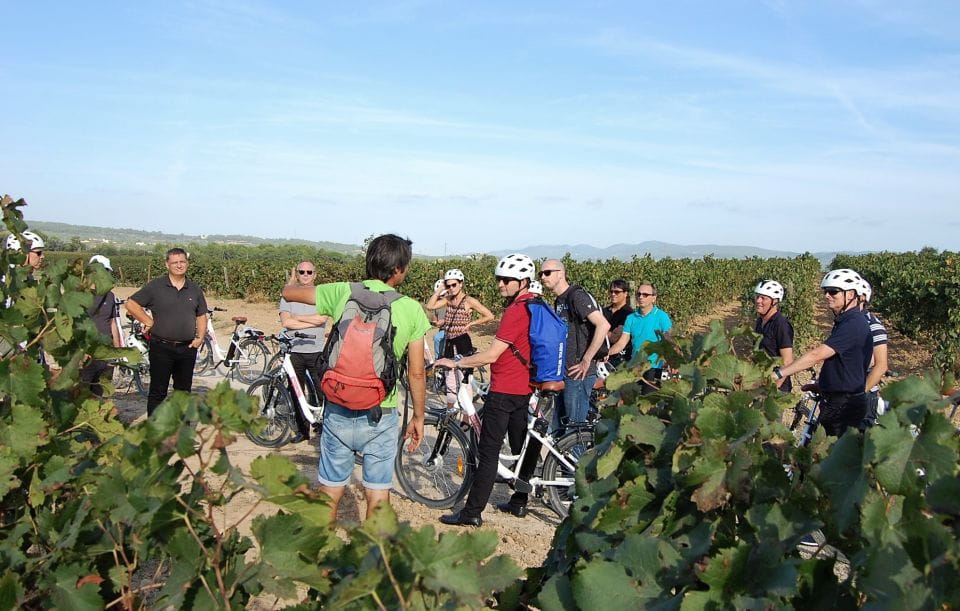 Barcelona: Bike & Wine Guided Tour - Penedès Vineyards - Cancellation Policy
