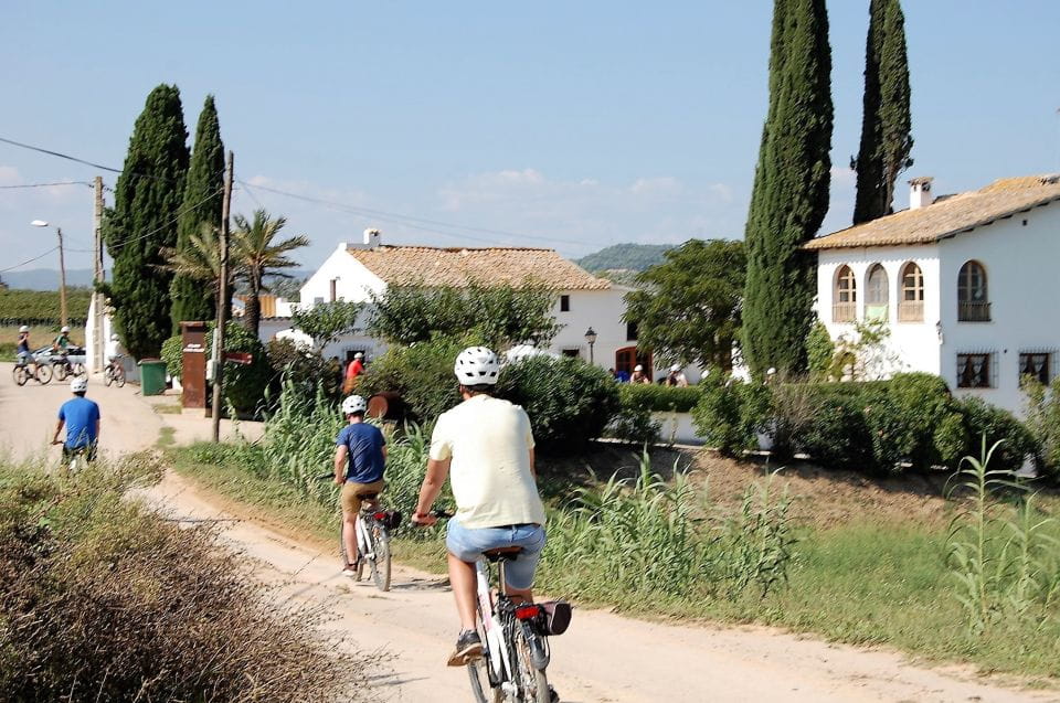 Barcelona: Bike & Wine Guided Tour - Penedès Vineyards - Group Size