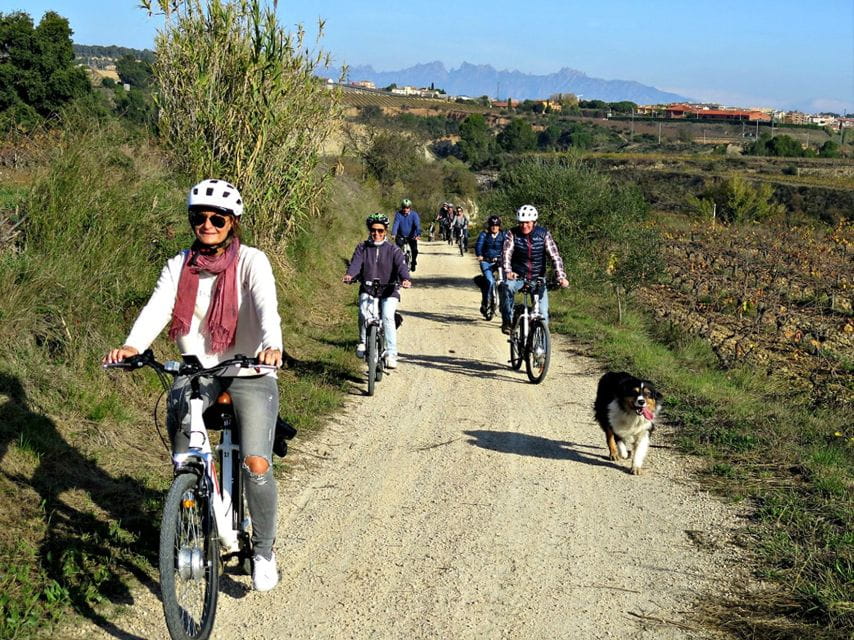 Barcelona: Bike & Wine Guided Tour - Penedès Vineyards - Meeting Point and Directions