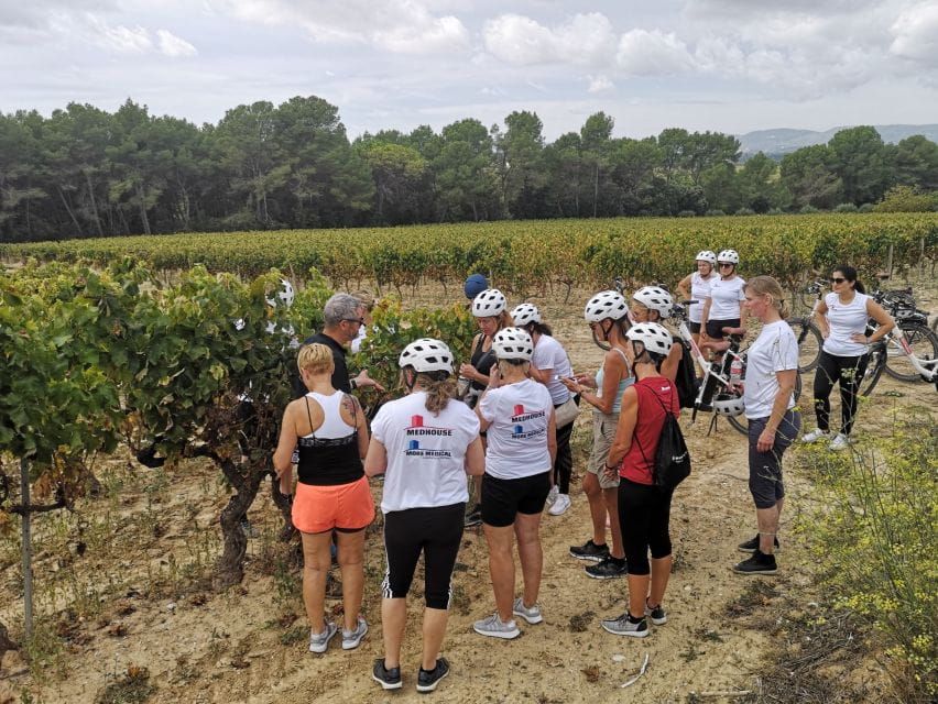Barcelona: Bike & Wine Guided Tour - Penedès Vineyards - Important Information for Participants