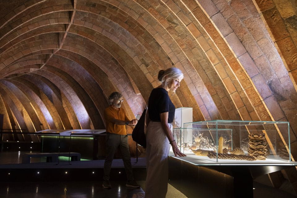 Barcelona: Casa Milà Early-Morning Access Guided Tour - Things To Know