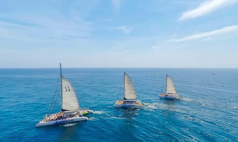 Barcelona: Catamaran Party Cruise with BBQ Meal - Key Points / Takeaways