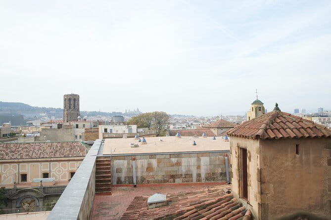 Barcelona Cathedral: Ticket, Guided Tour, Terrace + VR Experience - Climbing to the Terraces: A View from Above