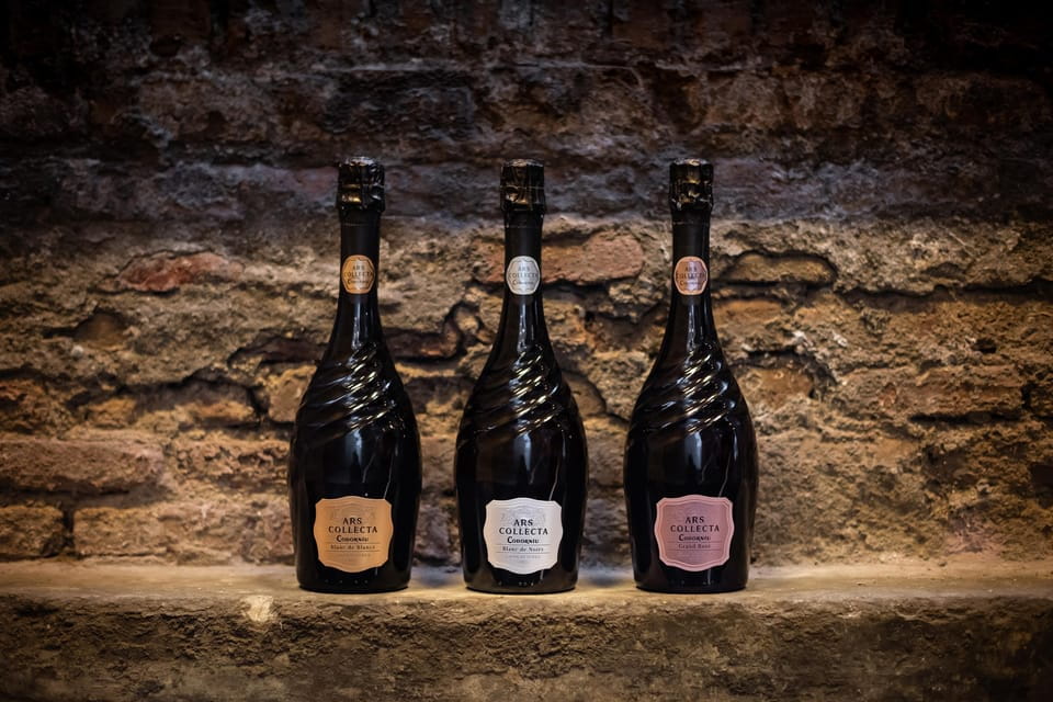 Barcelona: Caves Codorniu Winery Tour Based on Annas Life - Recommendations for Visitors